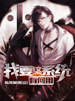 我要這系統(tǒng)有何用