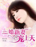 二婚新妻寵上天