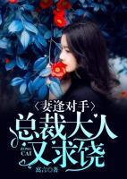 妻逢對手：總裁大人又求饒