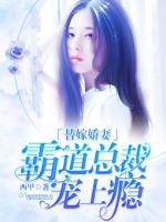 替嫁嬌妻：霸道總裁寵上癮