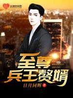 至尊兵王贅婿