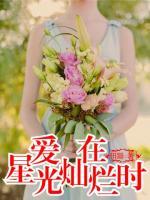 愛(ài)在星光燦爛時(shí)