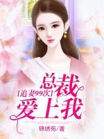 追妻99次：總裁愛上我