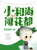小和尚闖花都