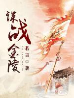 諜戰(zhàn)金陵