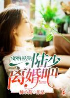 婚路漫漫：陸少離婚吧！