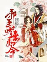 九王爺寵妻如命