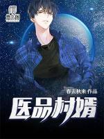 醫(yī)品村婿