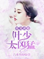 暖寵成癮，葉少太兇猛