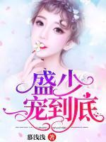 盛少，一寵到底