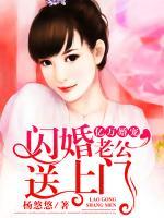 億萬(wàn)婚寵：閃婚老公送上門(mén)