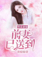 外賣老婆：前妻已送到