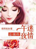 總裁的午夜迷情
