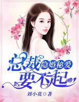隱婚秘愛，總裁要不起