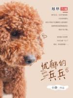 憂郁的兵兵