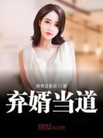 最佳棄婿