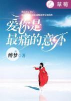 愛你是最痛的意外