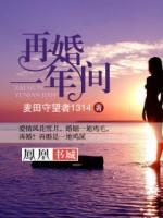 再婚一年間