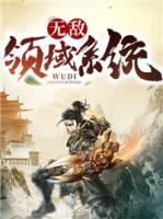 無敵領(lǐng)域系統(tǒng)