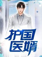 護(hù)國醫(yī)婿