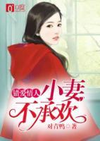錯(cuò)愛(ài)情人，小妻不承歡