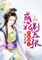 冷面傲王：惑妃別囂張