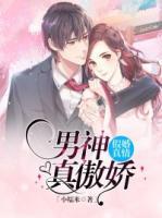 假婚真情：男神真傲嬌