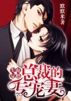 失而復(fù)婚：總裁的專寵妻