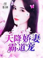 天降嬌妻霸道寵