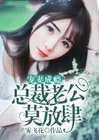 寵妻成癮：總裁老公莫放肆