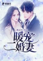 暖寵二婚妻