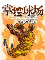 掌控球場