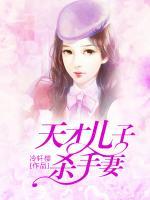 天才兒子殺手妻