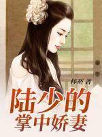 陸少的掌中嬌妻