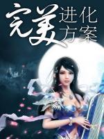 完美進(jìn)化方案