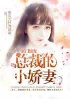 豪門獨(dú)寵：總裁的小嬌妻