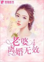 老婆，離婚無效