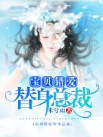 寶貝錯愛替身總裁