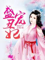 盛寵丑妃