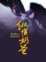 秦時(shí)明月之縱橫奶爸