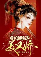 替身庶妃美又嬌