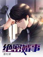 絕密婿事