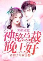 婚然成寵：神秘總裁晚上好