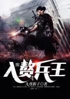 入贅兵王