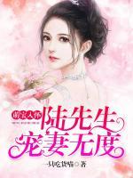 萌寶入懷，陸先生寵妻無度