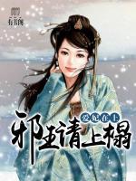 愛妃在上：邪王請上榻