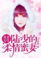寵妻無度：陸少的柔情蜜妻