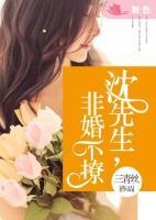 沈先生，非婚不撩
