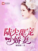 陸少甜寵小嬌妻