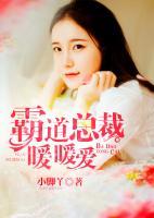 霸道總裁暖暖愛(ài)